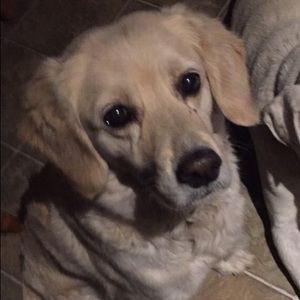 Meet your Posher, Maggie